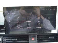 Audi A4L 2025 200 Million Units Joyful Edition 40 TFSI Luxury Dynamic - ფოტო 9