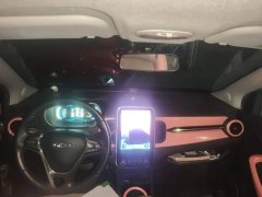 Chery Ant Facelift 150,000 Ant Fans Edition New Ant Cool Version LFP Battery - ფოტო 10