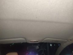 Chery Ant Facelift 150,000 Ant Fans Edition New Ant Cool Version LFP Battery - ფოტო 19