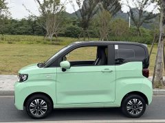 Chery QQ Ice Cream 120km Milkshake LFP Battery - ფოტო 2