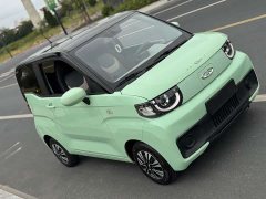 Chery QQ Ice Cream 120km Milkshake LFP Battery - ფოტო 5