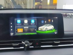 Trumpchi Leopard 270T DCT J15 - ფოტო 13