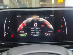Trumpchi Leopard 270T DCT J15 - ფოტო 14