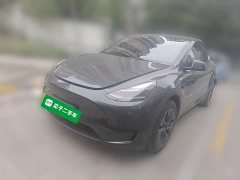 Tesla Model Y Rear-Wheel Drive - ფოტო 1