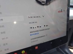 Tesla Model Y Rear-Wheel Drive - ფოტო 8