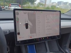 Tesla Model Y Rear-Wheel Drive - ფოტო 9