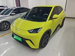 BYD Seagull Freedom Edition - ფოტო 1