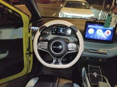 BYD Seagull Freedom Edition - ფოტო 12