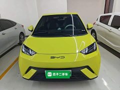BYD Seagull Freedom Edition - ფოტო 2