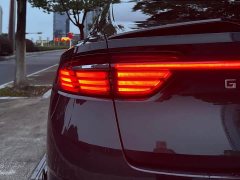 Geely Xingrui 2.0T Diesel Exclusive Cyan Green Edition - ფოტო 11