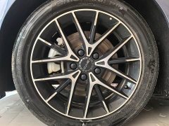 BYD Dolphin DM-i 1.5T 121km Premier - ფოტო 2