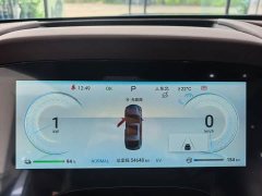 BYD Dolphin DM-i 1.5T 121km Premier - ფოტო 4