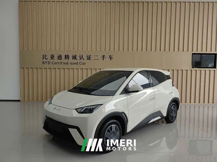 BYD Seagull 305km Vitality Edition