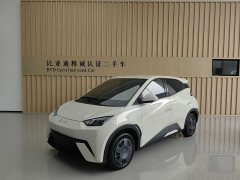 BYD Seagull 305km Vitality Edition - ფოტო 1