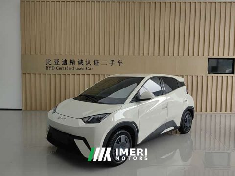 2025 BYD Seagull 305km Vitality Edition - ავტომობილი ჩინეთიდან