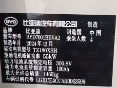 BYD Seagull 305km Vitality Edition - ფოტო 12