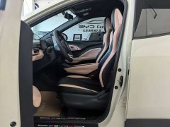 BYD Seagull 305km Vitality Edition - ფოტო 3