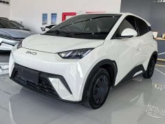 BYD Seagull 305km Vitality Edition - ფოტო 5
