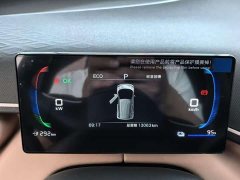 BYD Seagull 305km Vitality Edition - ფოტო 6
