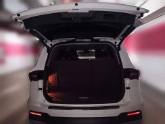 Ford Lingyue Territory EcoBoost 225 Premium 7-Seater (2/2/3) - ფოტო 15