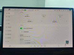 XPeng MONA M03 515 Long Range Plus - ფოტო 14
