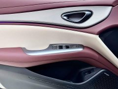 BYD Dolphin 07 DM-i 2026 DM-i 1.5T 230km Flagship - photo 11