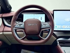 BYD Dolphin 07 DM-i 2026 DM-i 1.5T 230km Flagship - photo 9