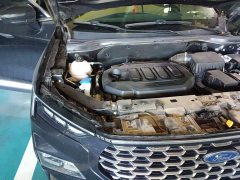 Ford Lingrui EcoBoost 170 Platinum Edition - ფოტო 20