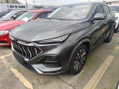 Changan Oushan X5 2021 1.5T DCT Luxury - photo 1
