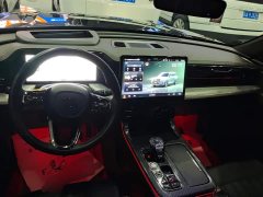 GAC Aion GS8 Dual Engine 2.0T M Two-Wheel Drive Luxury Edition (7-Seater) - ფოტო 12