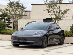 Tesla Model 3 Rear-Wheel Drive - photo 1
