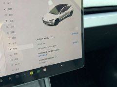 Tesla Model 3 Rear-Wheel Drive - photo 9