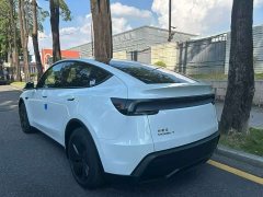 Tesla Model Y Rear-Wheel Drive - ფოტო 7