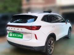 Haval H6 Third Generation 1.5T Automatic Two-Wheel Drive Max - ფოტო 6