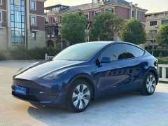 Tesla Model Y Rear-Wheel Drive - ფოტო 1