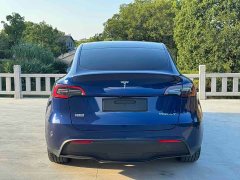 Tesla Model Y Rear-Wheel Drive - ფოტო 9
