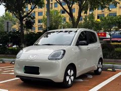 Wuling Hongguang MINIEV Fourth Generation Four-Door Advanced Edition - photo 1