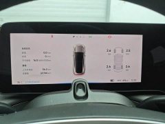 Xpeng Xiaopeng P7 670E Black Label Edition - ფოტო 7