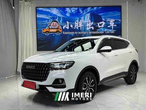 2024 Haval H6 National Trend Edition 1.5T Automatic Urban Version