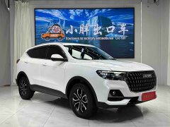 Haval H6 2023 National Trend Edition 1.5T Automatic Urban Version - ფოტო 3
