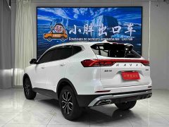 Haval H6 2023 National Trend Edition 1.5T Automatic Urban Version - ფოტო 6