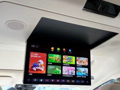 Li Auto Li Xiang MEGA 2024 Ultra - ფოტო 11