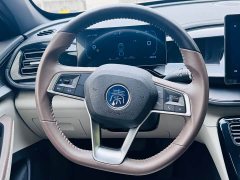 BYD Qin PLUS Glory Edition DM-i 55KM Leading - ფოტო 15