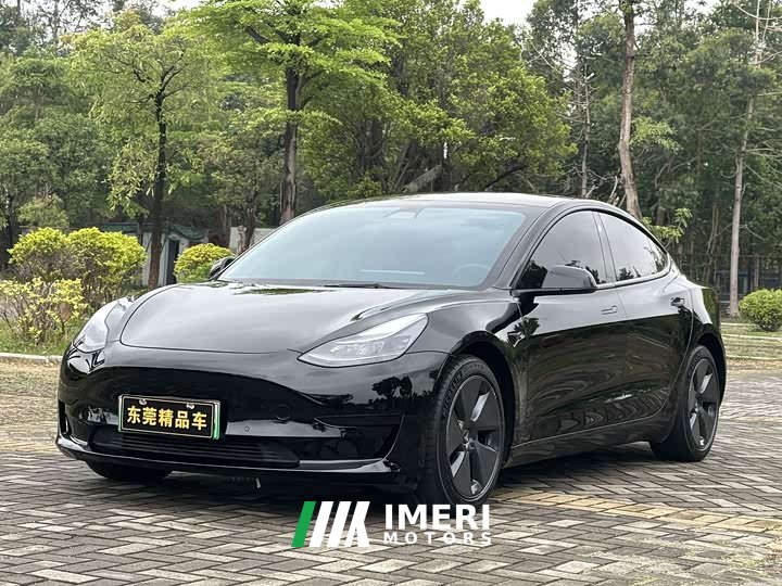 Tesla Model 3 2021 Standard Range RWD Upgrade 3D6 - ავტომობილი ჩინეთიდან