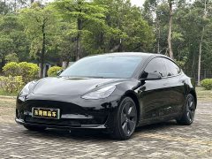 Tesla Model 3 2021 Standard Range RWD Upgrade 3D6 - ფოტო 1