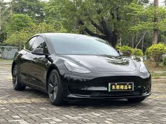 Tesla Model 3 2021 Standard Range RWD Upgrade 3D6 - ფოტო 3