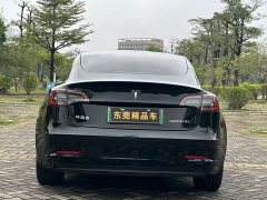 Tesla Model 3 2021 Standard Range RWD Upgrade 3D6 - ფოტო 5