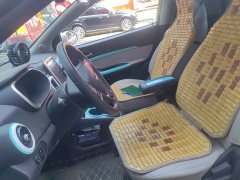 Chery Ant 150,000 Ant Fan Edition New Ant Cool Version LFP Battery - фото 11