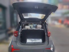 Chery Ant 150,000 Ant Fan Edition New Ant Cool Version LFP Battery - фото 15