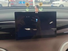 BYD Song Pro New Energy DM-i 71KM Glory Edition Pilot - ფოტო 13